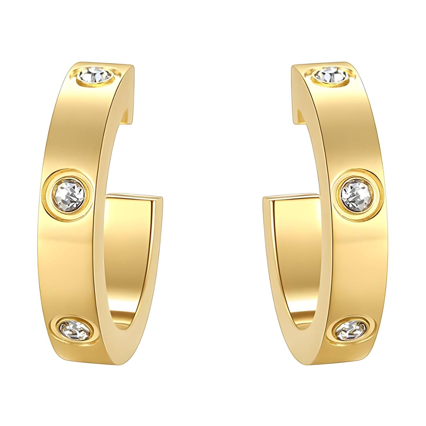 Circle D Earring